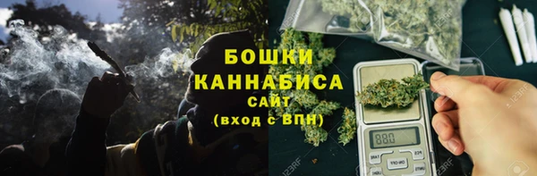 амф Бронницы