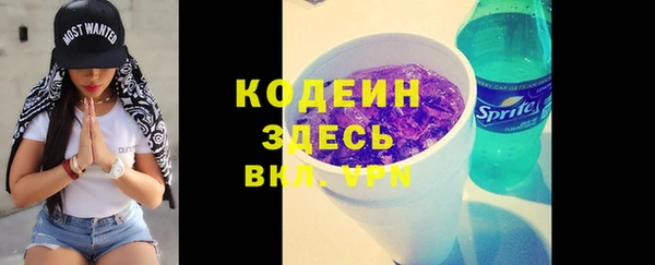 мдпв Бородино