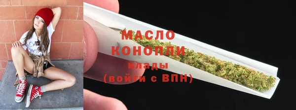 мдпв Бородино