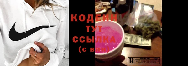 мдпв Бородино