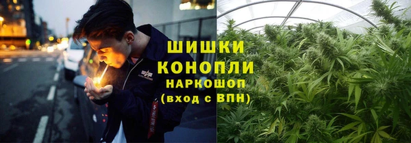 мдпв Бородино