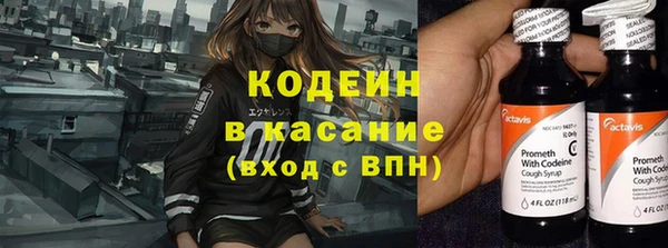 мдпв Бородино