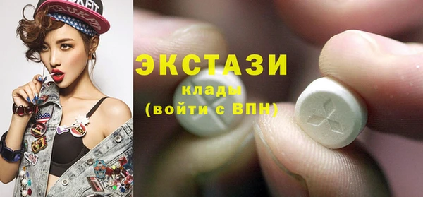 мдпв Бородино